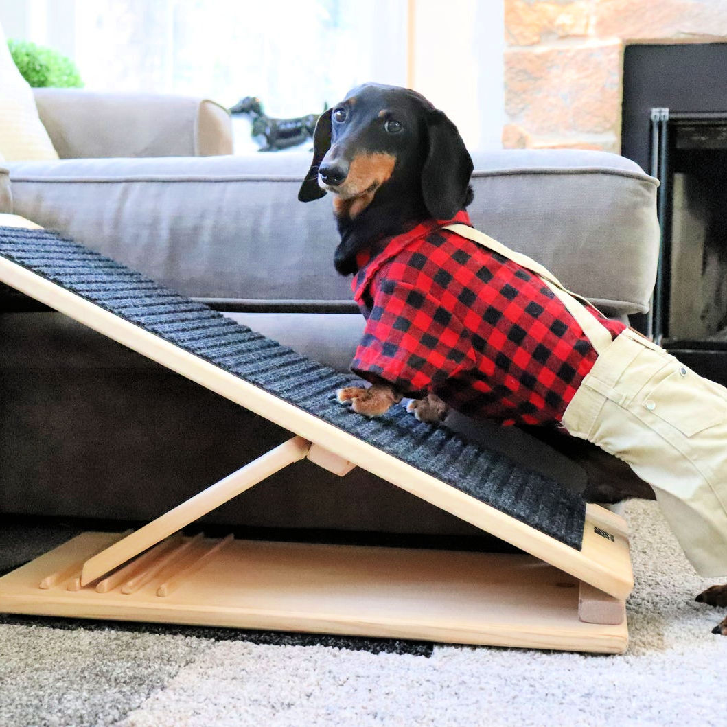 15 Free DIY Dog Ramp Plans For Bed Car Couch Stairs