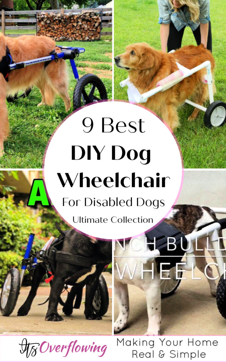 How to Make a Dog Wheelchair (9 DIY Dog Wheelchair Plans)