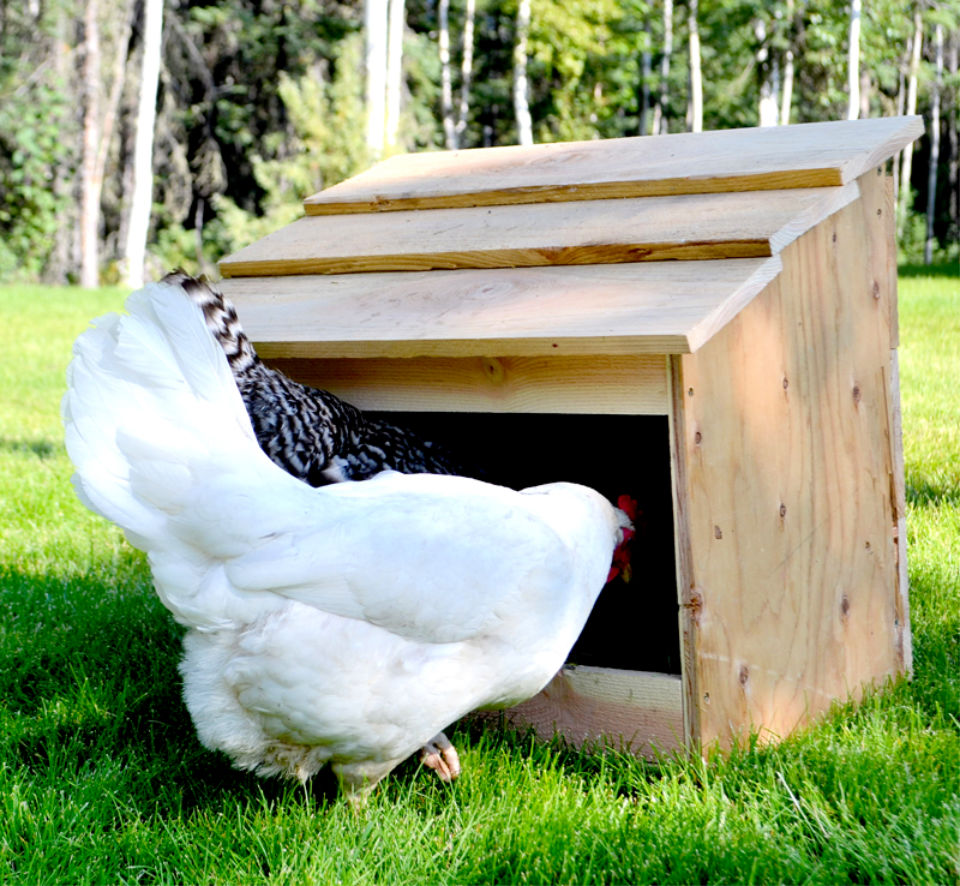 30 DIY Chicken Nesting Boxes (Learn How to Build Yours)