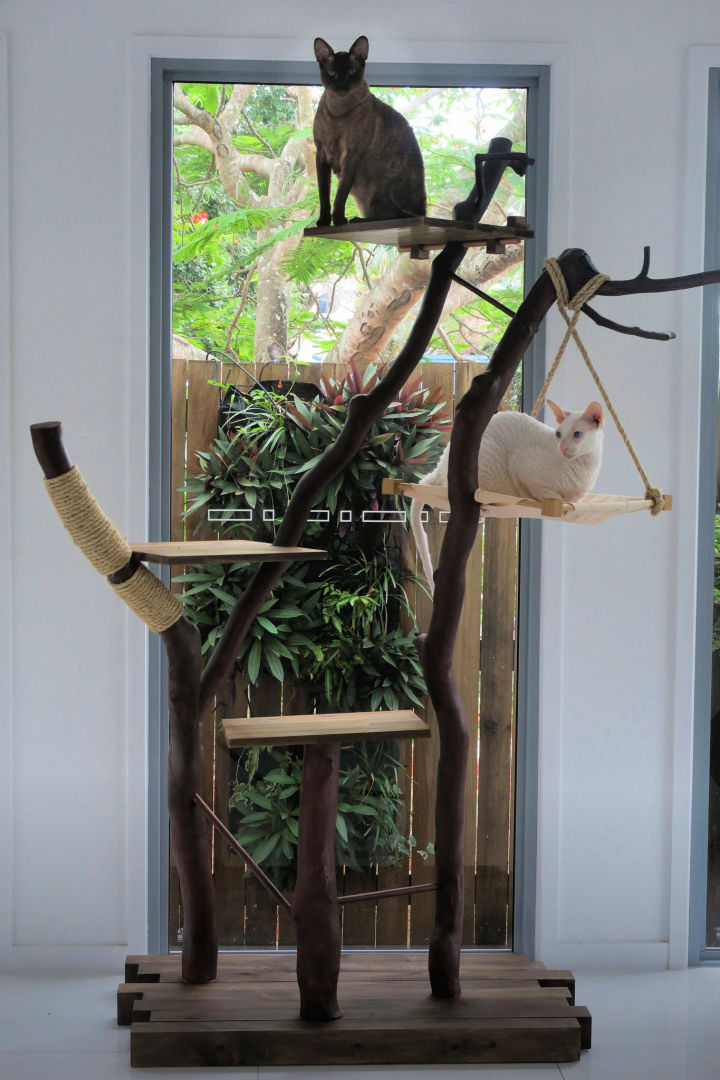 22 Free DIY Cat Tree Plans (How to Build a Cat Tree)