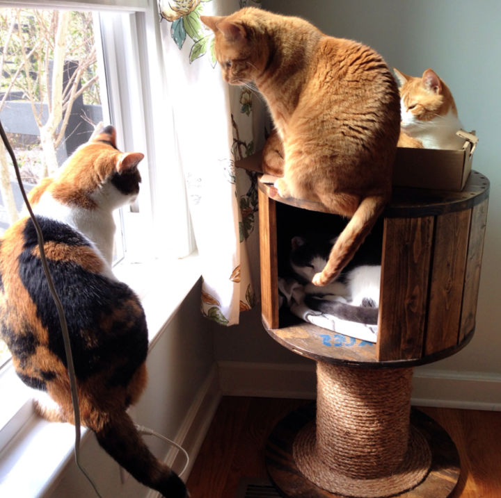 20 Free DIY Cat Tree House Plans And Ideas 20-free-diy-cat-tree-house-plans-and-ideas