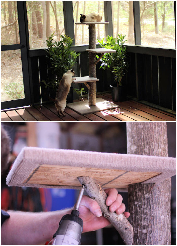 22 DIY Cat Tree Plans To Build For Your Feline Friend