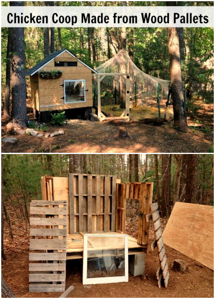 25 Free Pallet Chicken Coop Plans (Step by Step Guide)