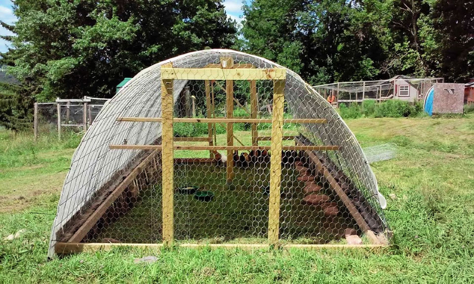 25 Pallet Chicken Coop Plans To Save Your Money (Free Guide)
