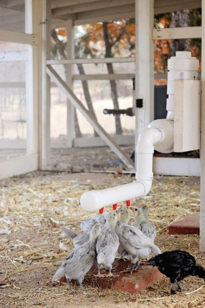 15 DIY Chicken Waterer Ideas Out Of Recycled Materials