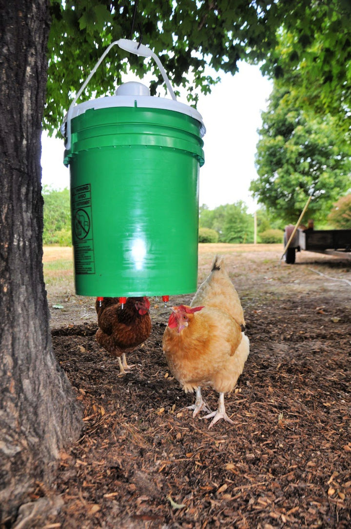 15 DIY Chicken Waterer Ideas Out Of Recycled Materials