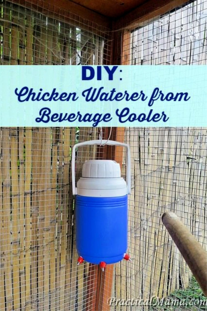 15 DIY Chicken Waterer Ideas Out Of Recycled Materials