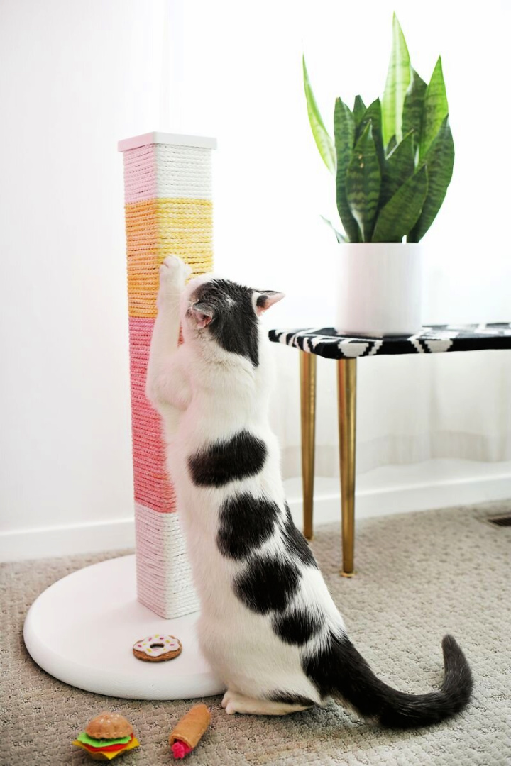 diy cat scratching post cardboard