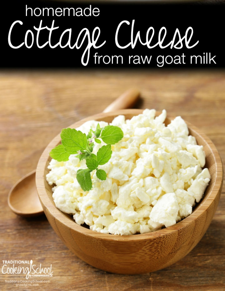 15 Best Homemade Cottage Cheese Recipes