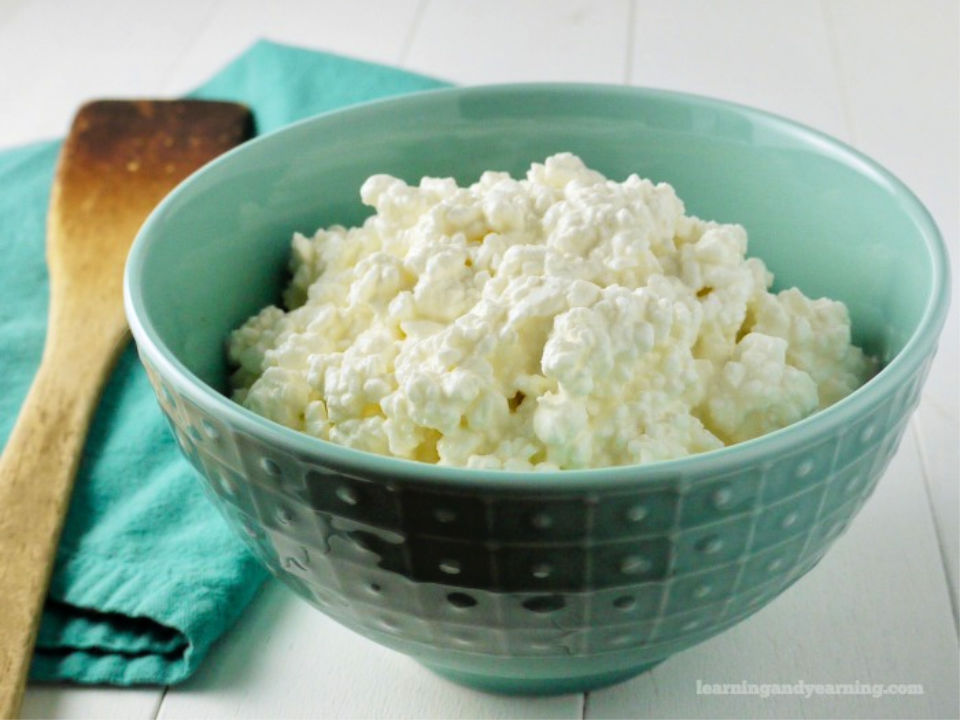 15 Best Homemade Cottage Cheese Recipes