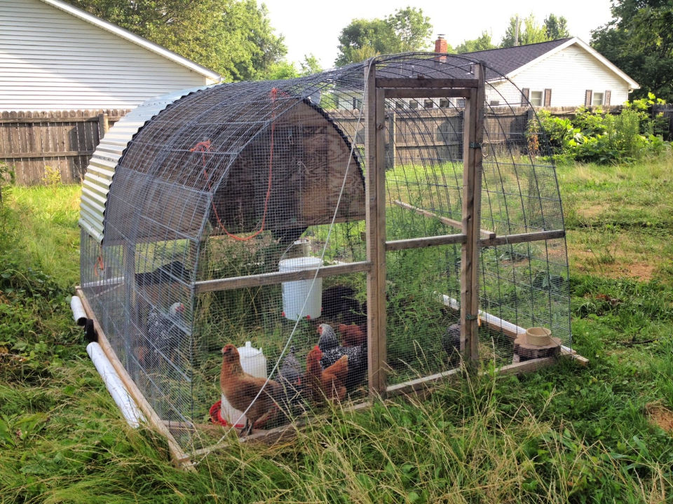 30 Free DIY Chicken Tractor Plans (Easy Building Steps)