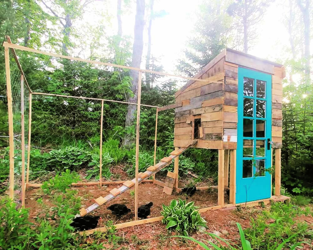 25 Pallet Chicken Coop Plans To Save Your Money (Free Guide)