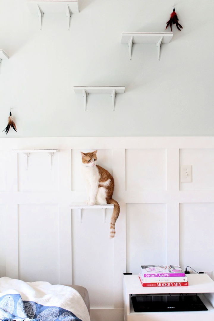 DIY Cat Shelves (14 Easy DIY Cat Wall Ideas)