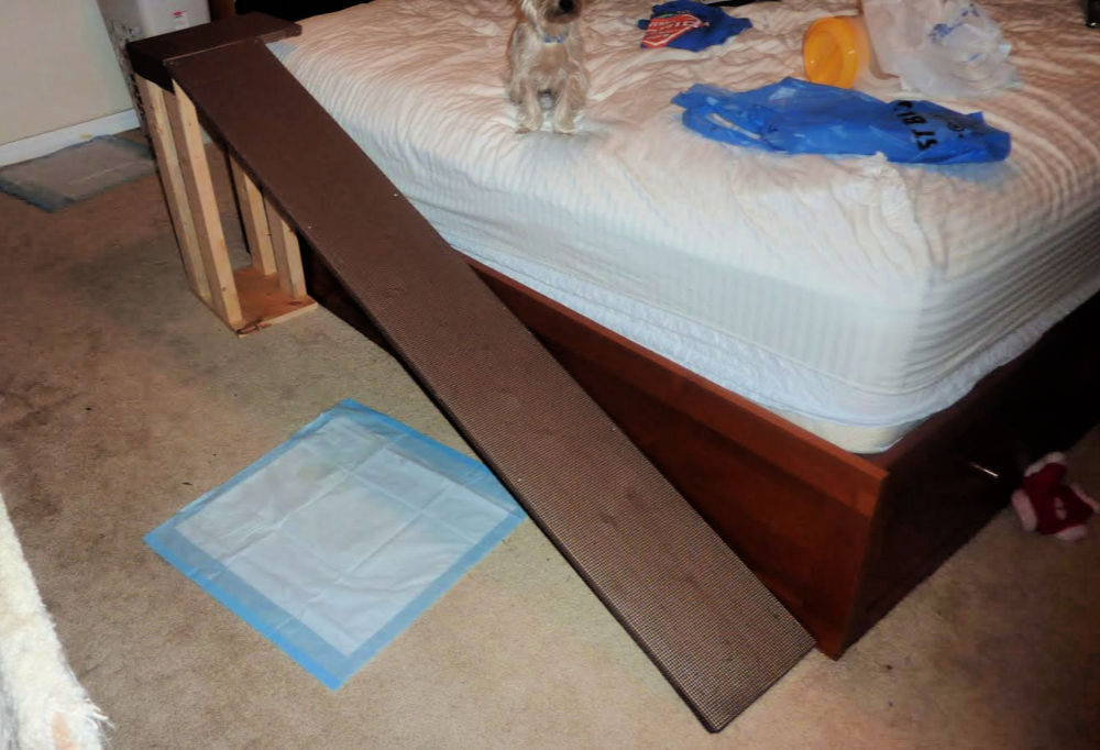 15 Free DIY Dog Ramp Plans For Bed, Car, Couch, Stairs