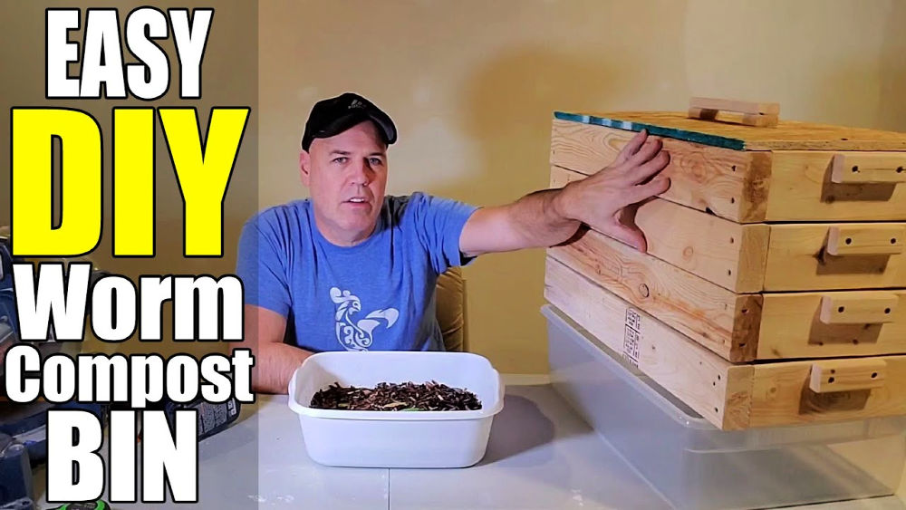 DIY worm composting system for beginners with red wigglers and organic waste