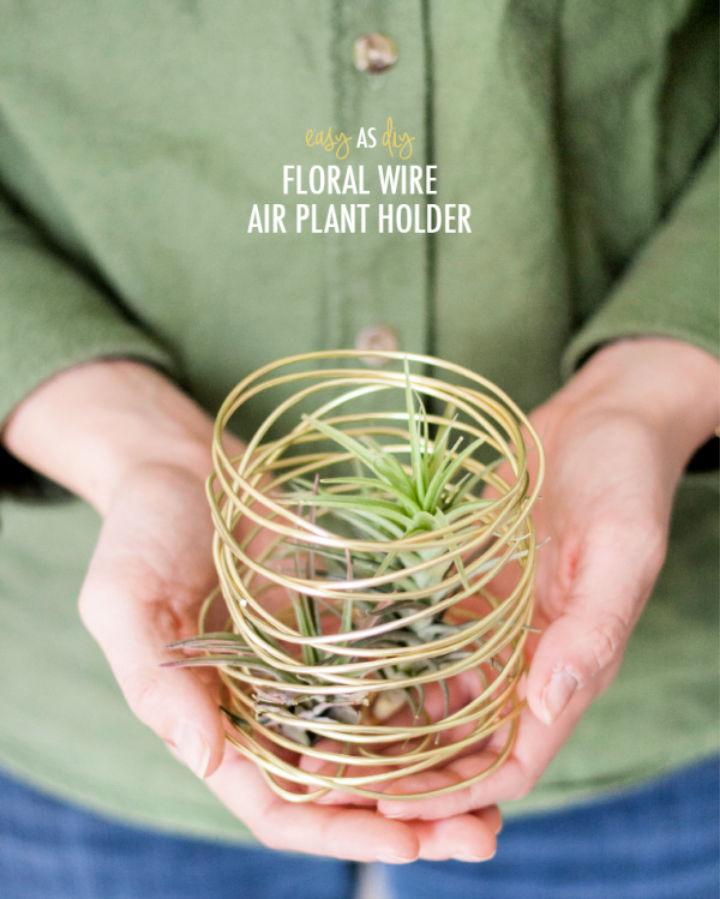 25 Easy DIY Air Plant Holder Ideas to Display Plants