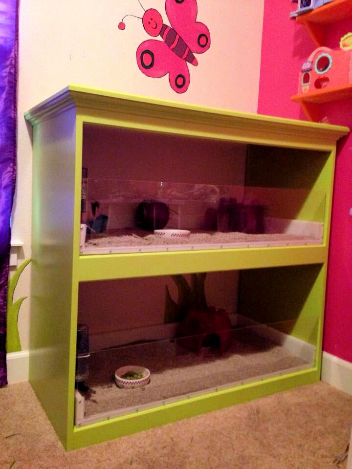 20 Homemade DIY Guinea Pig Cage Ideas