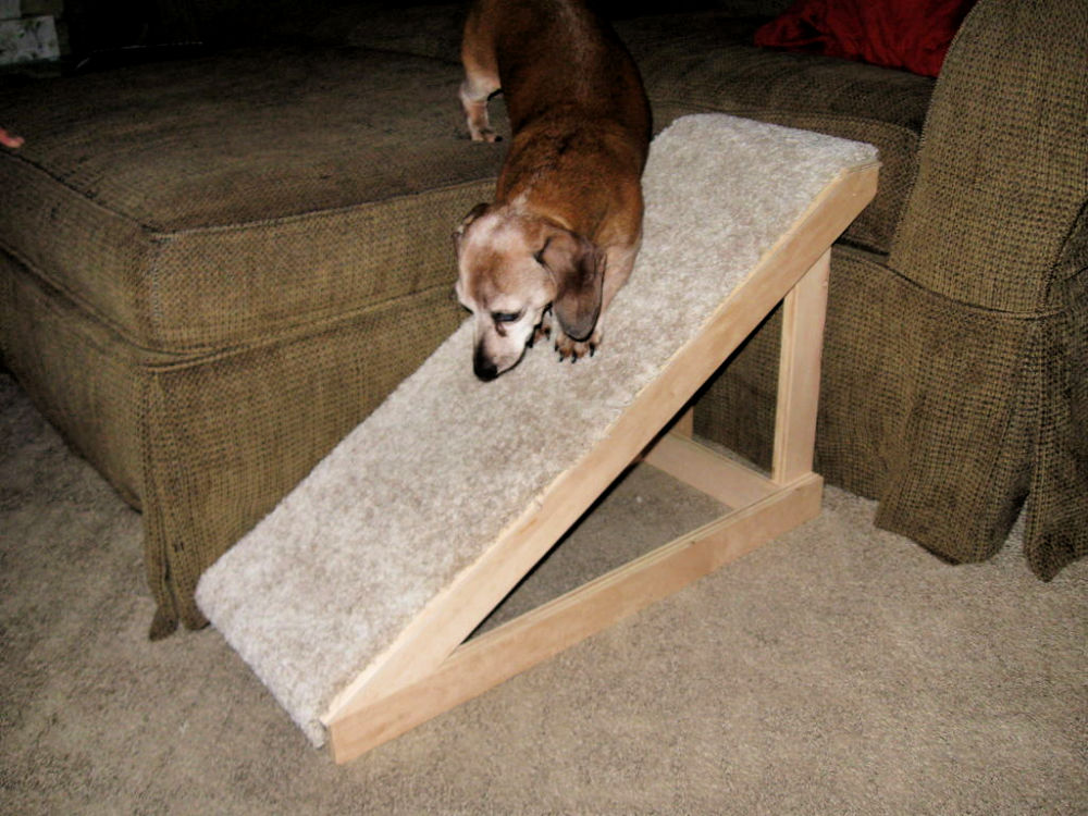 15 Free DIY Dog Ramp Plans For Bed, Car, Couch, Stairs