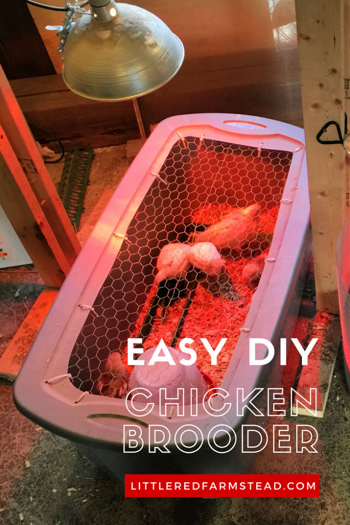 15 Easy DIY Chicken Brooder Plans You Can Make