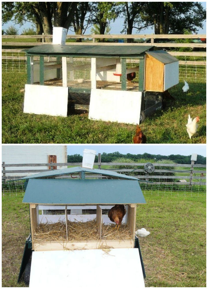 30 Free DIY Chicken Tractor Plans (Easy Building Steps)