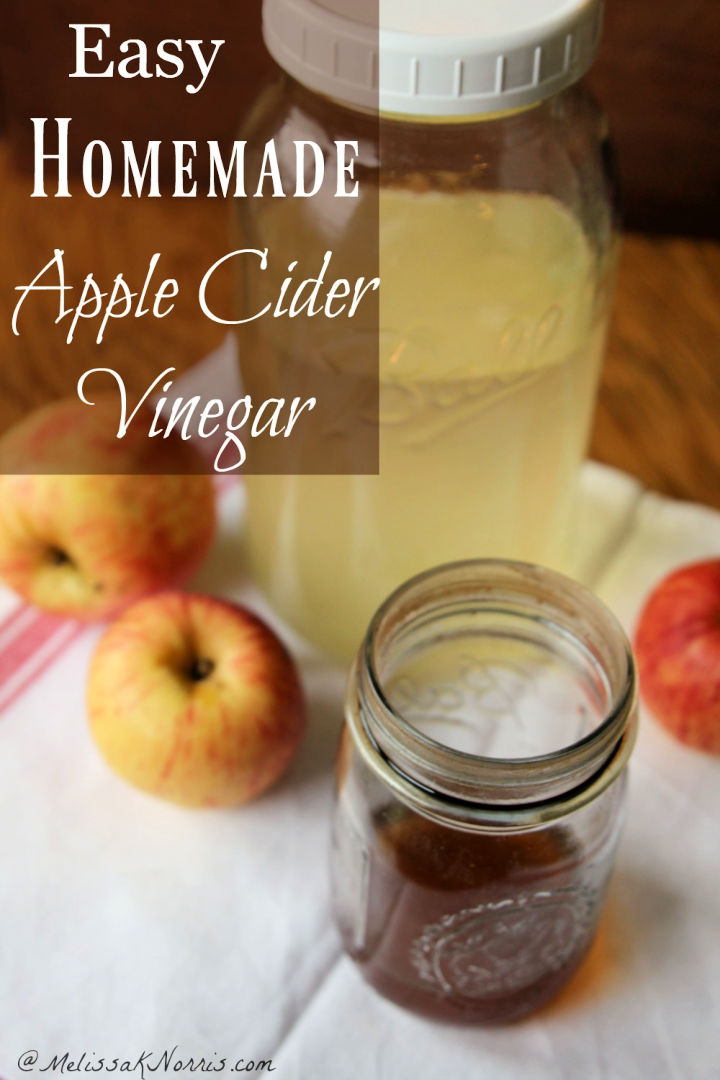15 Quick and Easy Homemade Apple Cider Vinegar Recipes