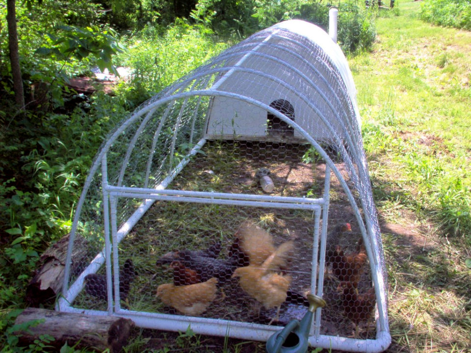 10 Free DIY PVC Chicken Tractor Plans • Its Overflowing