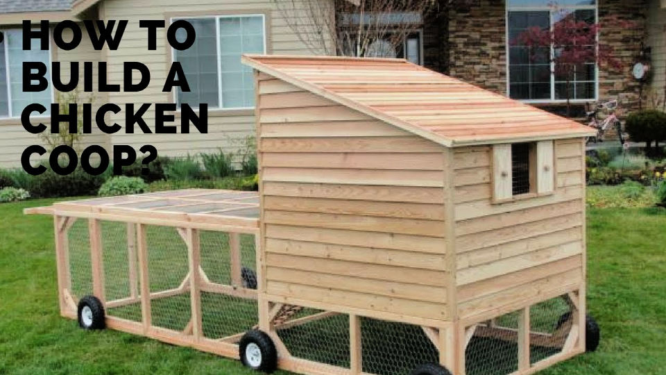 10 Free Portable Chicken Coop Plans • Its Overflowing - Portable Chicken Coop For 10 Chickens