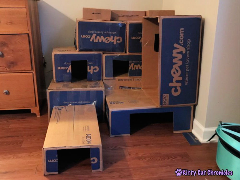 20 Easy DIY Cardboard Cat House Ideas