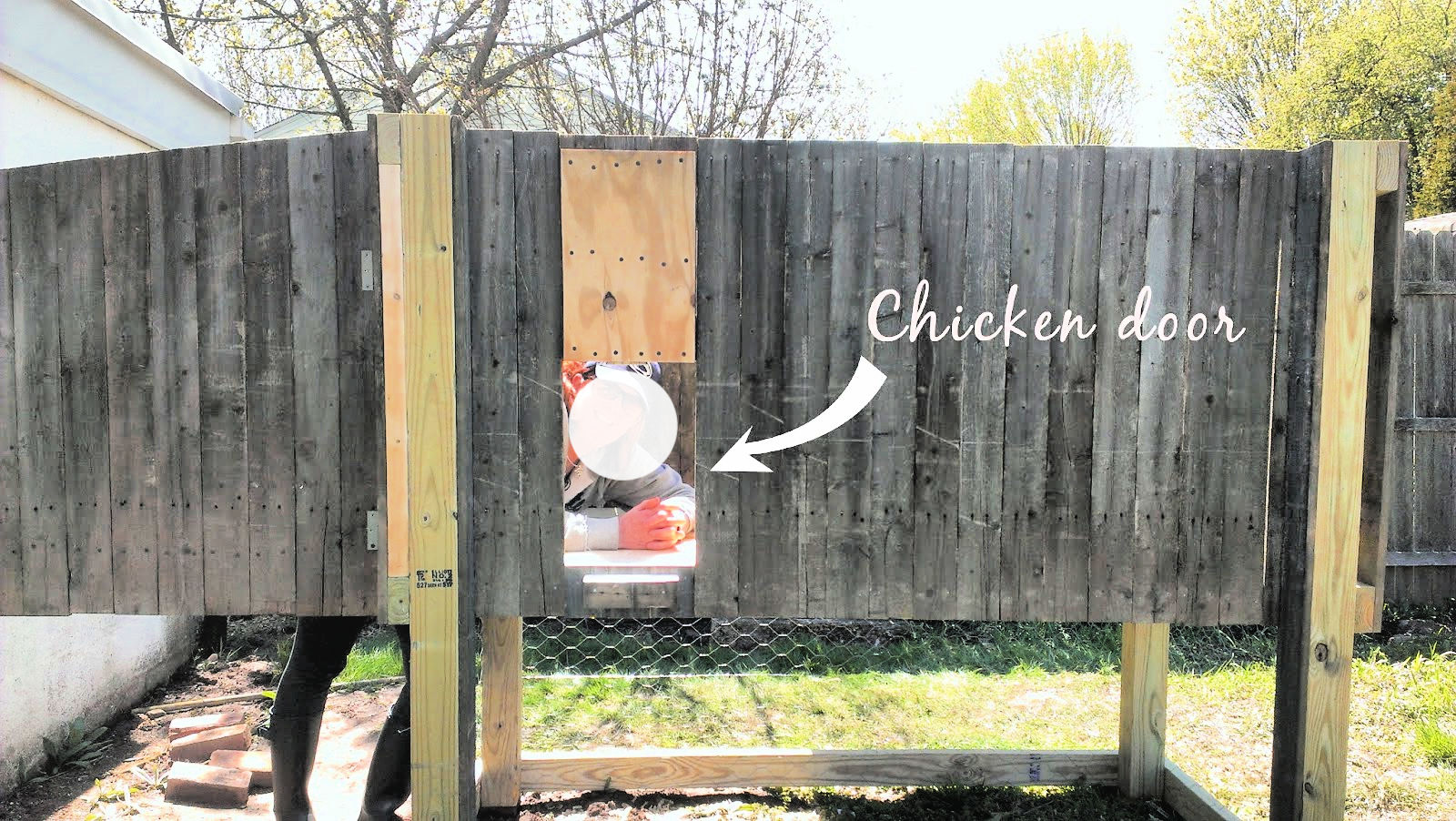 DIY Chicken Coop and Run Tutorial (How To Build & Free Plan)