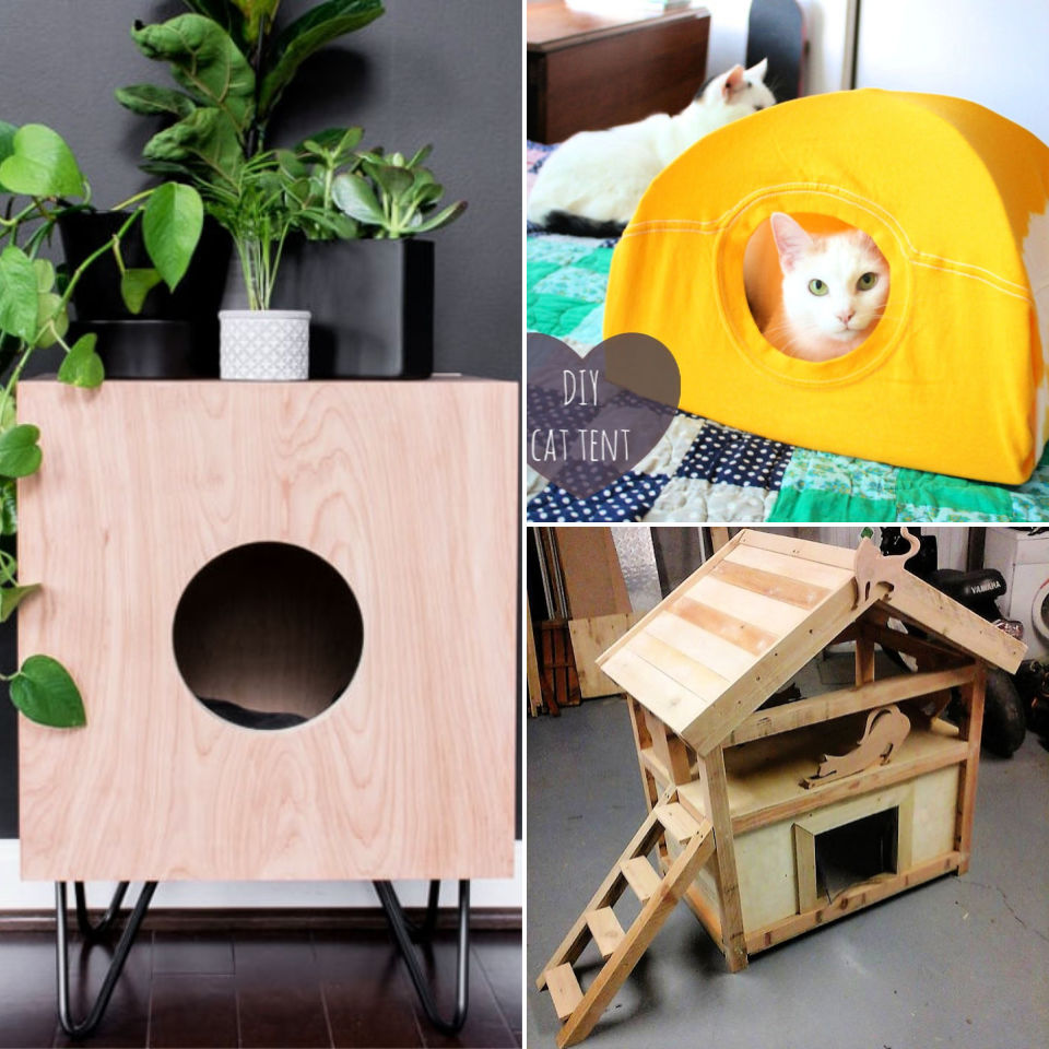 House design cat Cat House