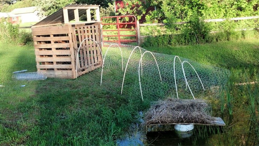 22 Free DIY Duck House Plans and Ideas to Build Yours