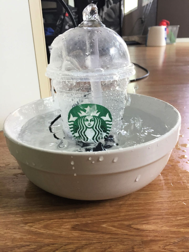 7 Easy DIY Cat Fountain Ideas (Cat Water Fountain)