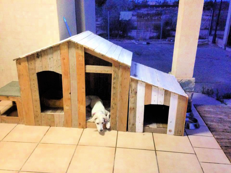 15 Free Large Dog  House  Plans  Your Dogs  Will Love