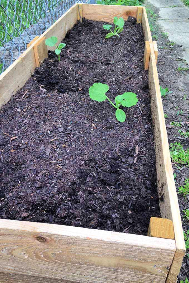 10 Best Cedar Raised Garden Bed Ideas You Can DIY