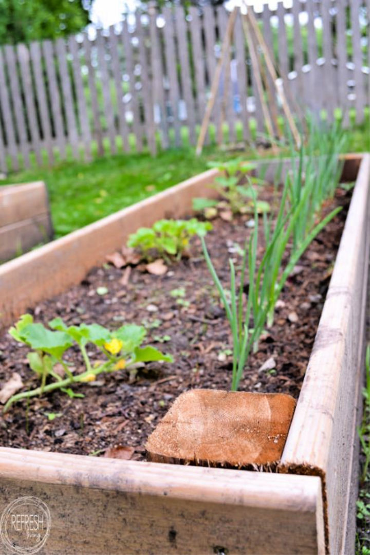 10 Best Cedar Raised Garden Bed Ideas You Can DIY