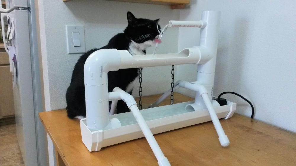 7 Easy DIY Cat Fountain Ideas (Cat Water Fountain)
