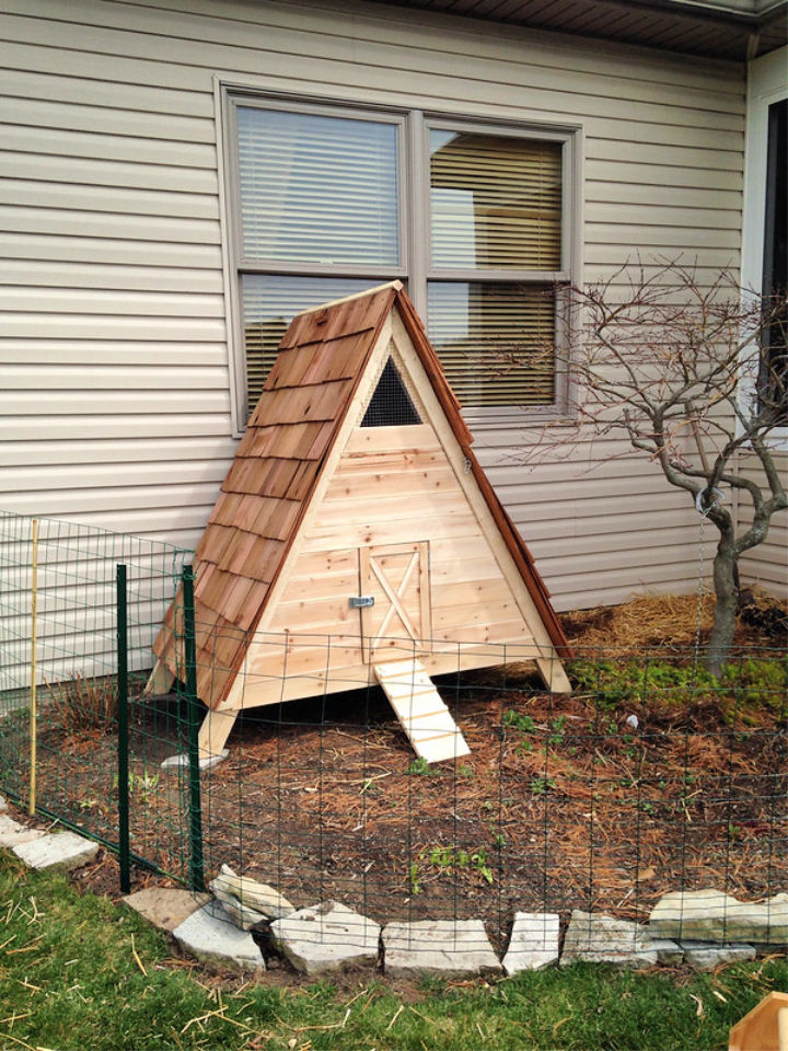 22 Free DIY Duck House Plans and Ideas to Build Yours