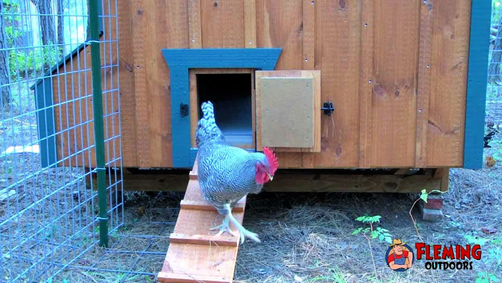 10 DIY Automatic Chicken Coop Door Ideas and Plans