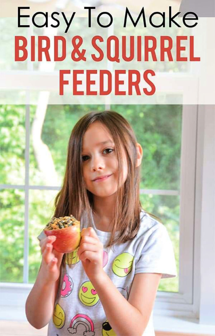 15 Easy DIY Squirrel Feeder Ideas (Make a Squirrel Feeder)