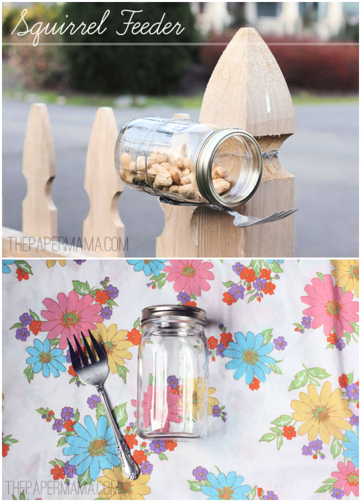 15 Easy DIY Squirrel Feeder Ideas (Make a Squirrel Feeder)