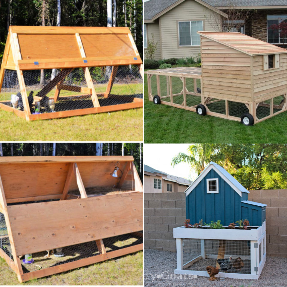 10 Free Portable Chicken Coop Plans - Its Overflowing