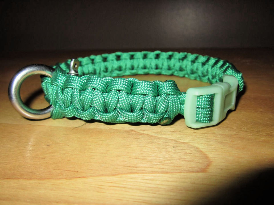 How to Make a Dog Collar (15 DIY Dog Collar Ideas)