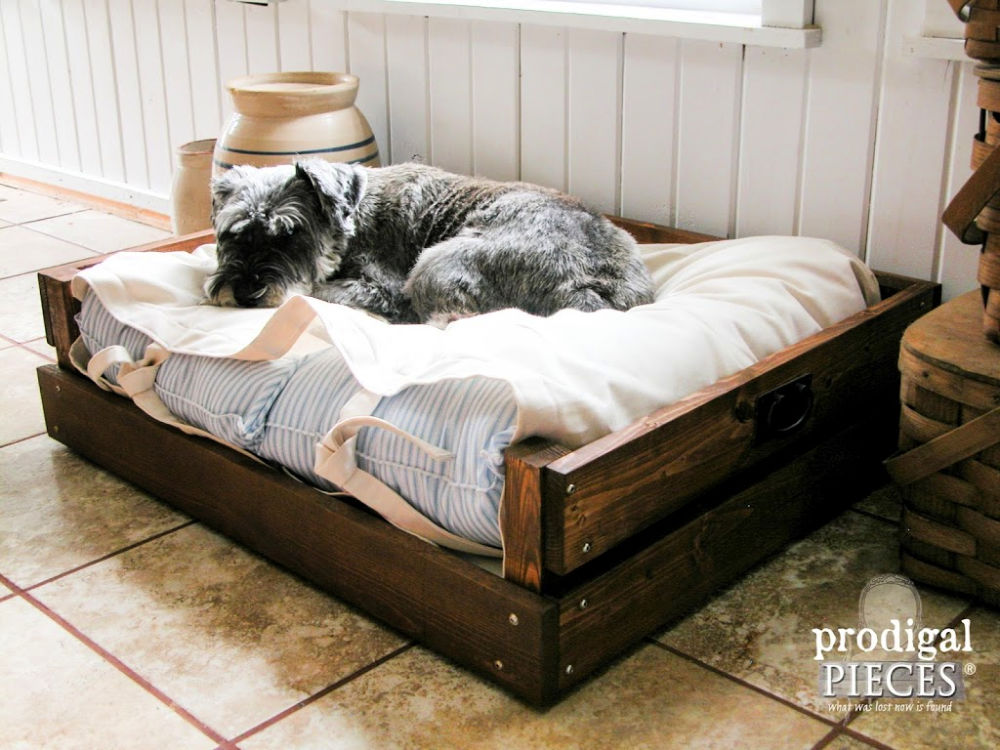 30 Homemade DIY Dog Bed Ideas (How to Make a Dog Bed)