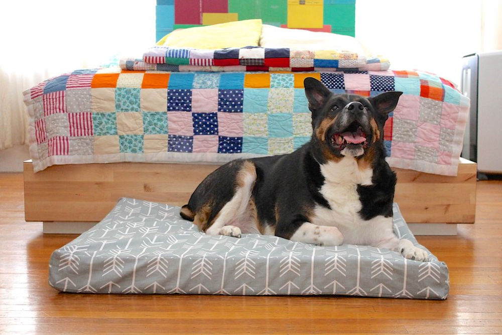30 Homemade DIY Dog Bed Ideas (How to Make a Dog Bed)