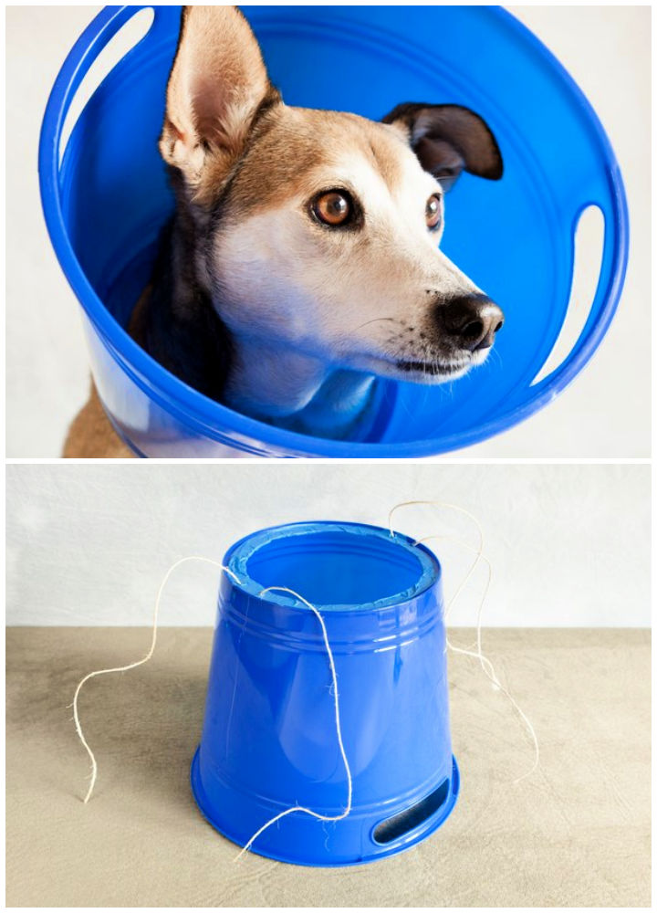How To Make A Dog Cone