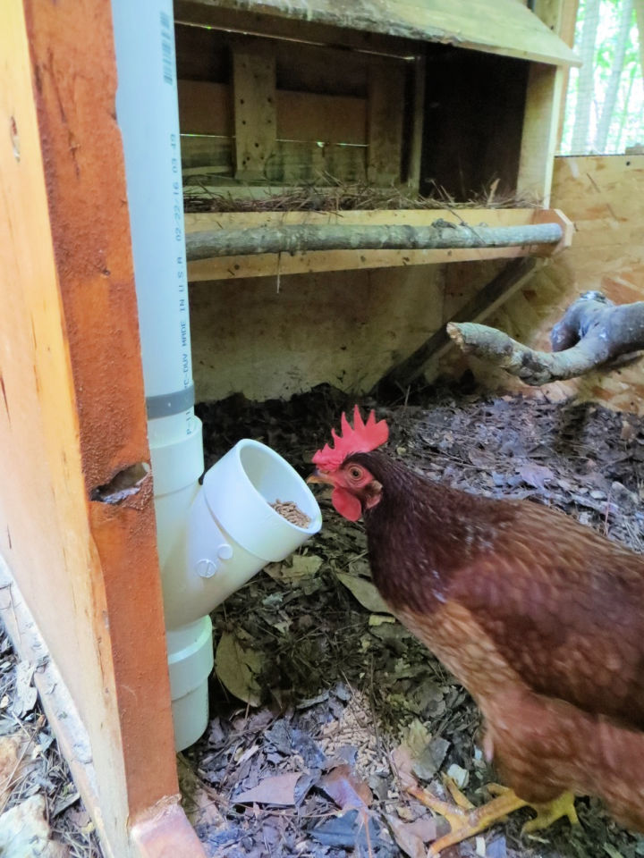 15 Homemade DIY Chicken Feeder Ideas