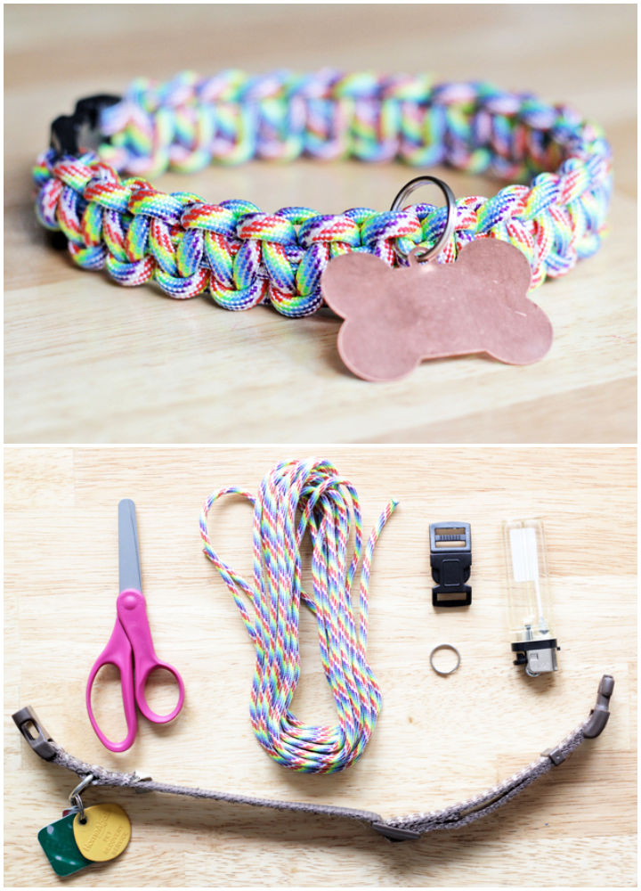How to Make a Dog Collar (15 DIY Dog Collar Ideas)