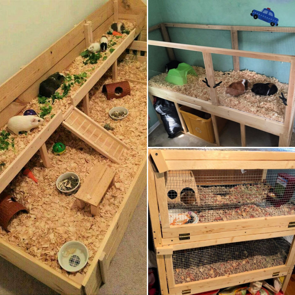 guinea pig cages for 2 diy