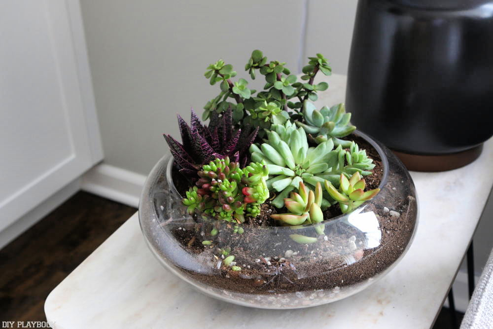 15 Easy DIY Succulent Terrarium Ideas (How to Make)