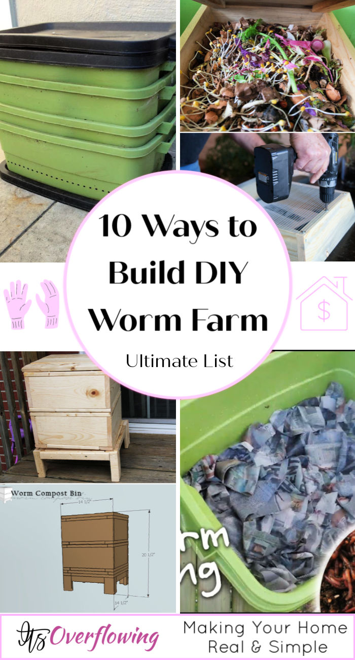 DIY Worm Farm How To Make a Worm Compost Bin